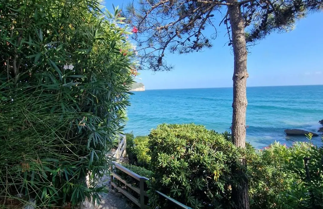 Chiaror di Mare-1